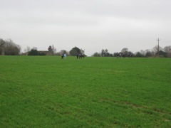 Walkers in a field